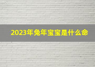 2023年兔年宝宝是什么命