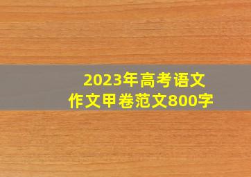 2023年高考语文作文甲卷范文800字