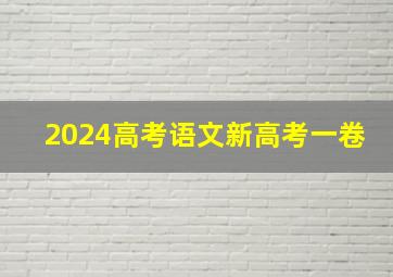 2024高考语文新高考一卷