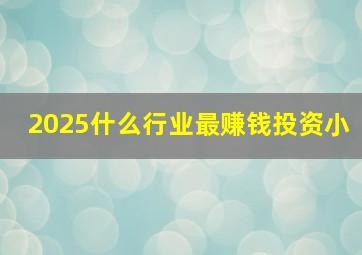 2025什么行业最赚钱投资小