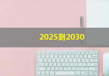 2025到2030