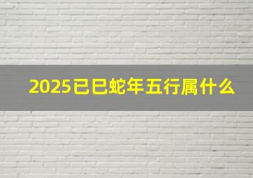 2025已巳蛇年五行属什么