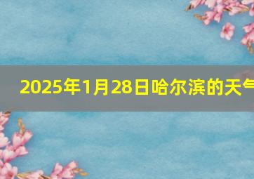 2025年1月28日哈尔滨的天气