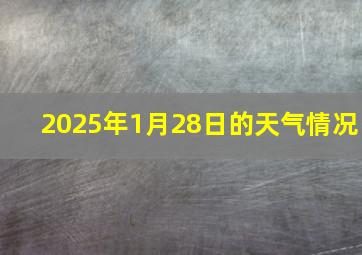 2025年1月28日的天气情况