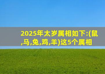 2025年太岁属相如下:(鼠,马,兔,鸡,羊)这5个属相