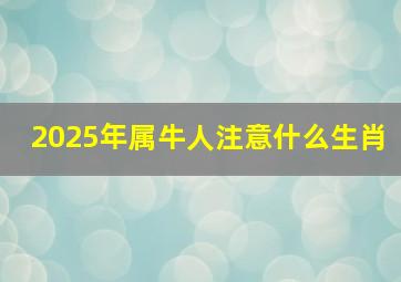 2025年属牛人注意什么生肖