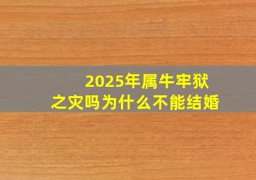 2025年属牛牢狱之灾吗为什么不能结婚