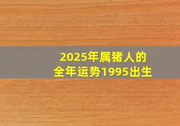 2025年属猪人的全年运势1995出生