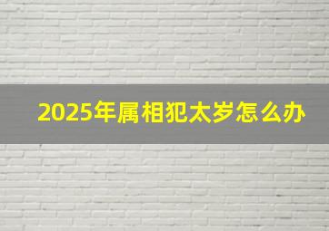 2025年属相犯太岁怎么办