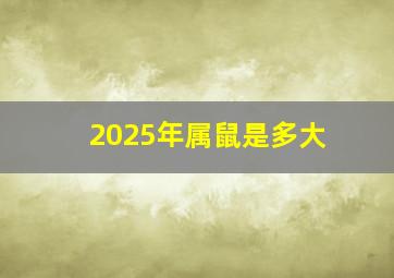 2025年属鼠是多大