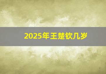 2025年王楚钦几岁