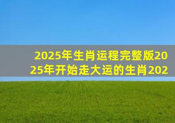 2025年生肖运程完整版2025年开始走大运的生肖202