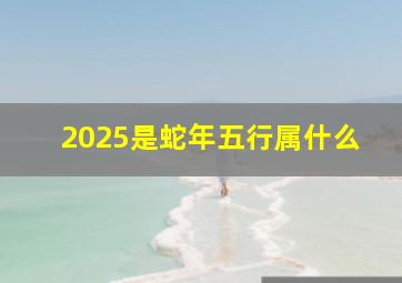 2025是蛇年五行属什么