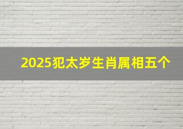 2025犯太岁生肖属相五个