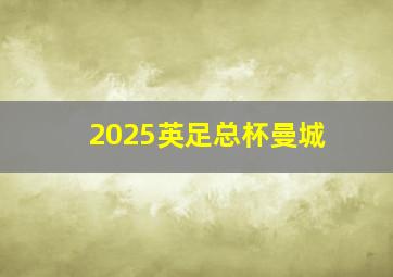 2025英足总杯曼城