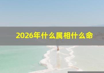 2026年什么属相什么命