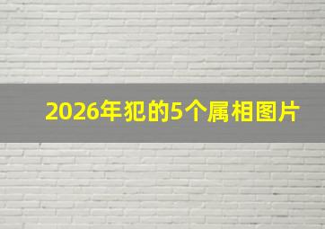 2026年犯的5个属相图片