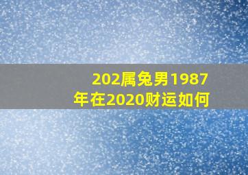 202属兔男1987年在2020财运如何