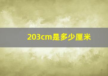 203cm是多少厘米