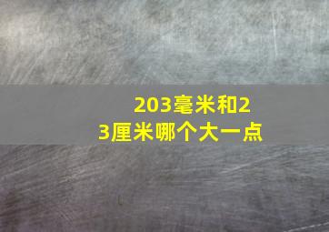 203毫米和23厘米哪个大一点