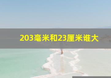 203毫米和23厘米谁大