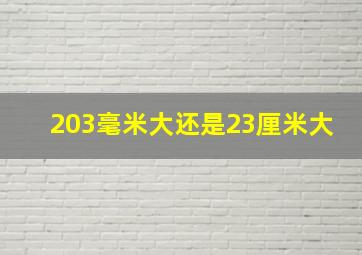 203毫米大还是23厘米大