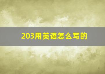 203用英语怎么写的