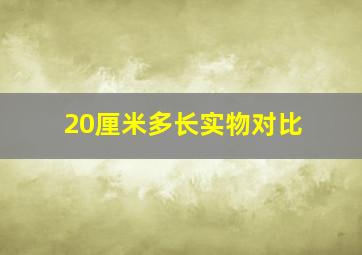 20厘米多长实物对比