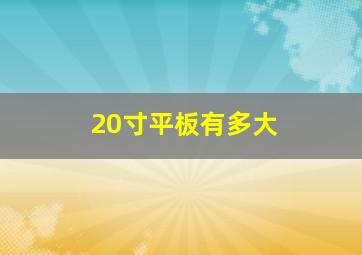 20寸平板有多大