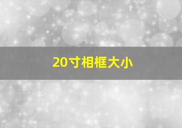 20寸相框大小