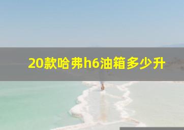 20款哈弗h6油箱多少升