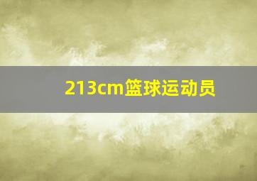 213cm篮球运动员