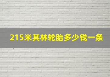 215米其林轮胎多少钱一条