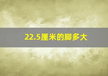 22.5厘米的脚多大