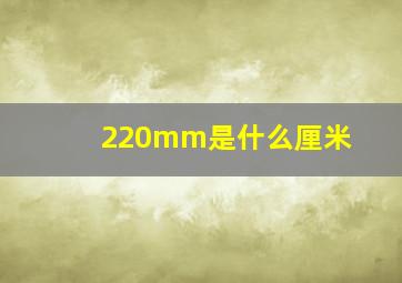 220mm是什么厘米