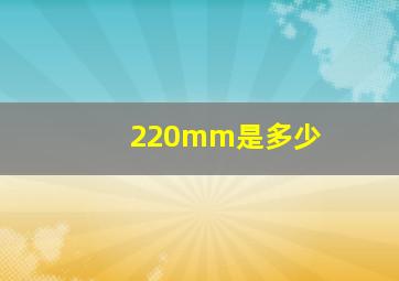 220mm是多少