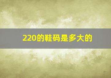 220的鞋码是多大的