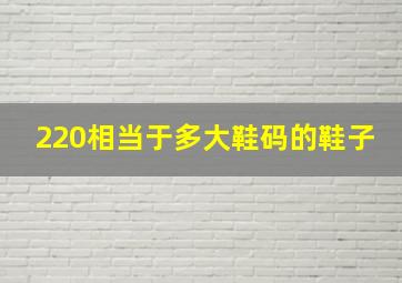 220相当于多大鞋码的鞋子