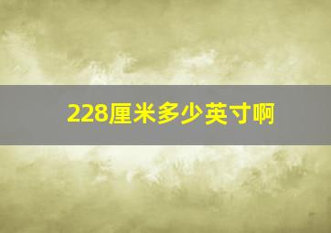 228厘米多少英寸啊