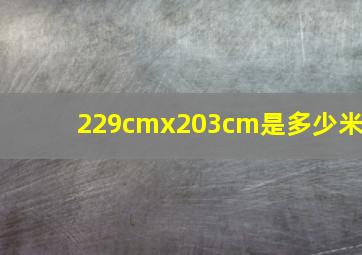 229cmx203cm是多少米