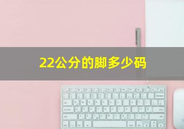 22公分的脚多少码