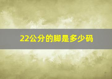 22公分的脚是多少码