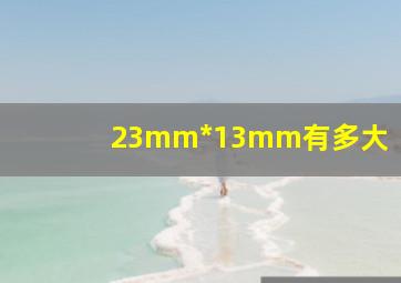 23mm*13mm有多大