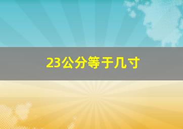 23公分等于几寸