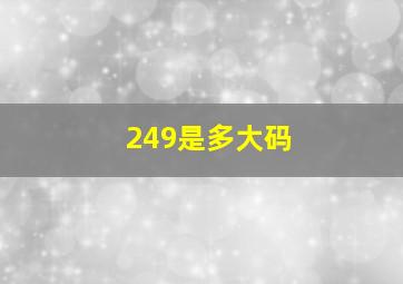 249是多大码