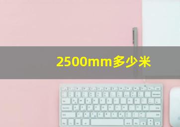 2500mm多少米