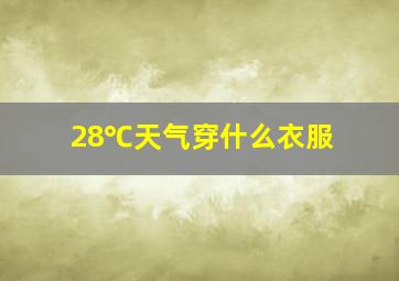 28℃天气穿什么衣服