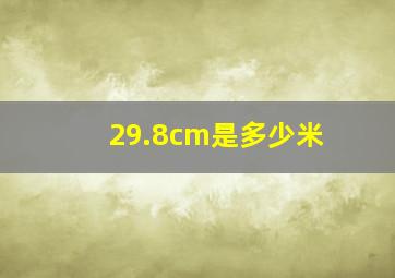 29.8cm是多少米