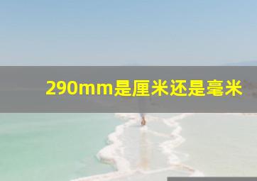 290mm是厘米还是毫米