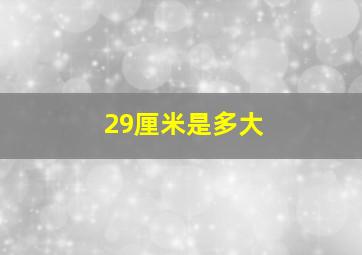 29厘米是多大